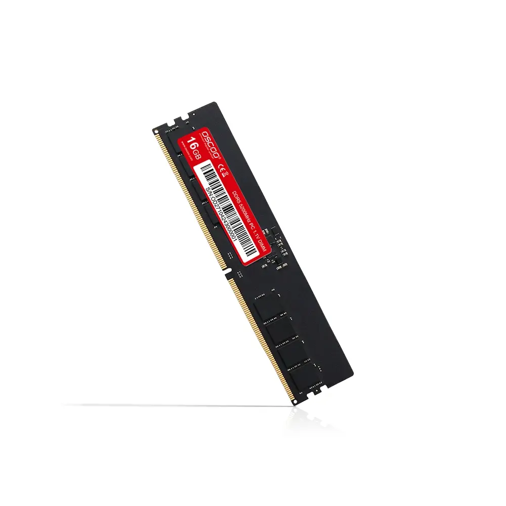 OSC-P300-DDR5-for-Desktop-02.webp