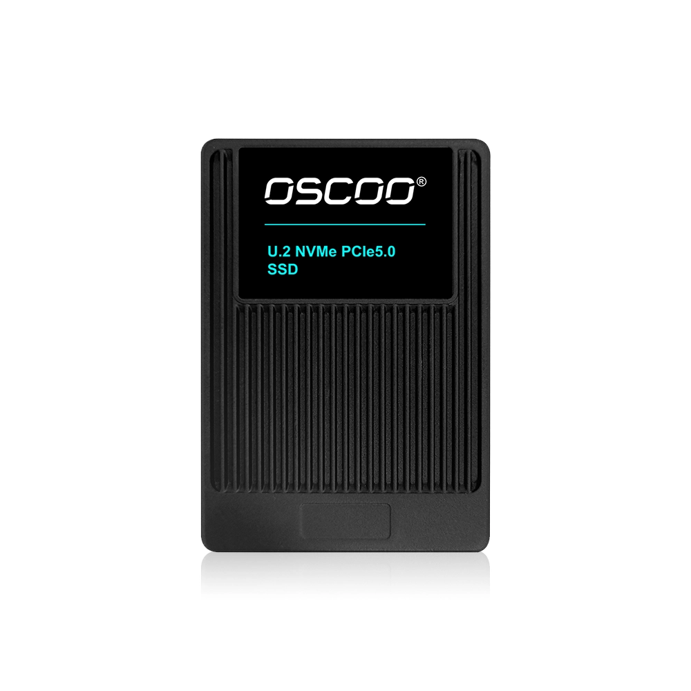 OE300 PCIe 5.0 NVMe Enterprise SSD